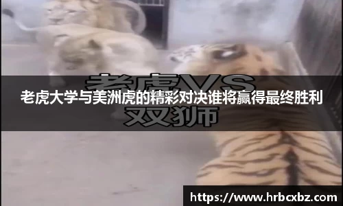 老虎大学与美洲虎的精彩对决谁将赢得最终胜利